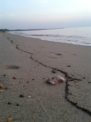 Sunset on the Chesapeake Bay with a line in the sand