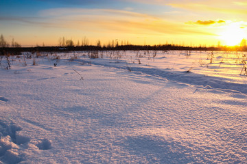 Fototapeta na wymiar Sunset over the winter field.