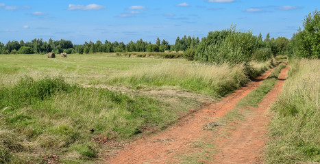 Rural road along the field