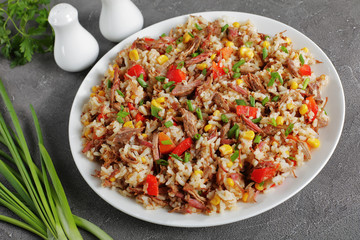 shredded juicy Beef, rice, veggies on plate