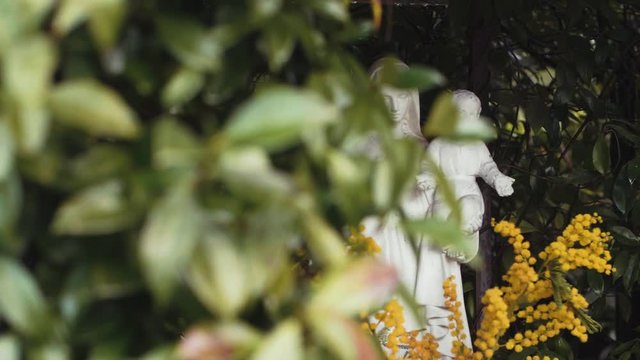 Slow motion shot panning right to reveal a stone statue of the Virgin Mary holding Baby Jesus in a bush in a garden in Rome