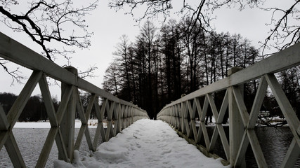 A bridge with more light on the other end. A path to a goal.