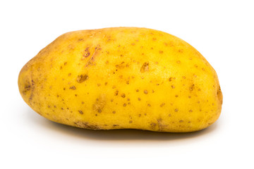Close-up of potato raw isolated on white background. copy space and selection focus.