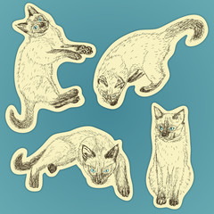Set of hand drawn cats. Line drawing cats. Set of stickers