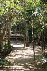 pathway