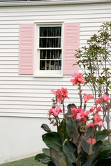 White house with pink shutters on window and dark pink flowers 