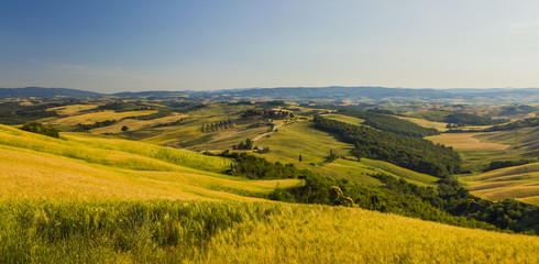 Fototapeta na wymiar Tuscan landscape, fields and meadows on a warm sunny day 