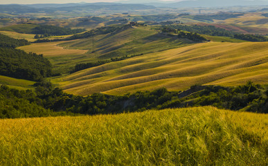 Tuscan landscape, fields and meadows on a warm sunny day 