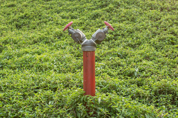 Red fire hydrant