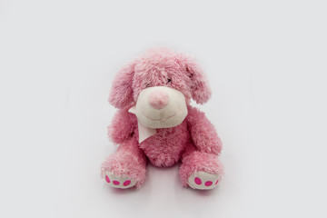 Cute pink puppy toy shot on white. Soft plush toy dog looking cute
