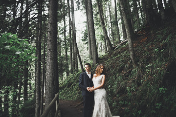 Happy wedding couple walking in a botanical park