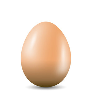 Egg Shaped Vector