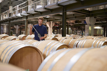 Young man testing wine in a wine factory warehouse