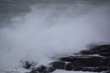 Maine Waves During Snow Stoirm