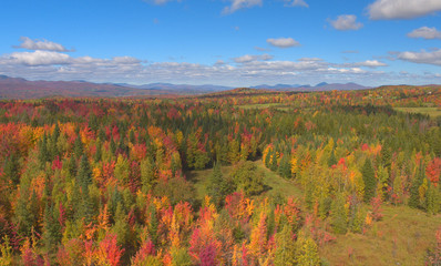 AERIAL: Distant hills overlooking colorful autumn forests and lonely clearings.