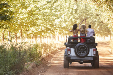 Friends standing in an open top jeep, back view