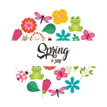 spring is here collection frog flower butterfly ladybug vector illustration