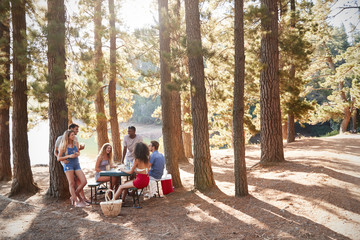 Group of young adult friends hanging out by a lake