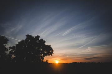 Natural Sunset Sunrise Over Field Or Meadow