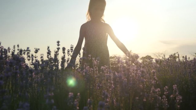 silhouette of a dreamy little girl walking in field flowers at sunset. outdoor activities. summer plants in Europe