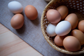 Fresh eggs of the two species