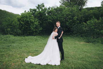 Wedding of the newlyweds. The groom tenderly embraces the bride against the background of green grass and trees. An excellent wedding day. The bride and groom close-up. 