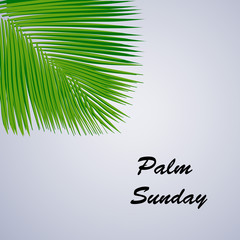 Fototapeta na wymiar Illustration of Palm Leaves for Palm Sunday