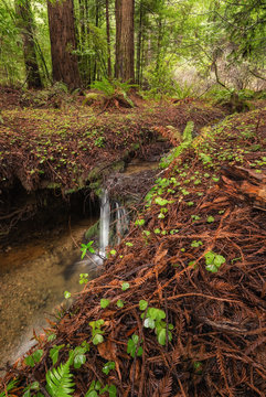 Small Waterfall in the Mountains of Northern California