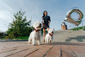 beautiful woman walking two white small dogs