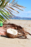 coconut on the beach background