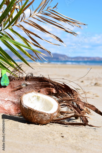 coconut on the beach background