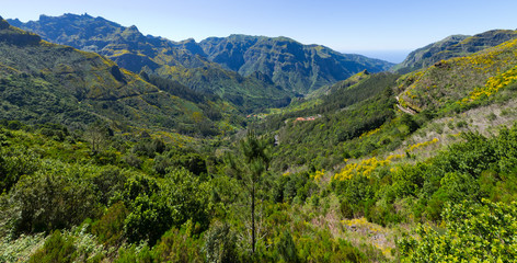 Fototapeta na wymiar Serra de Agua valley on Madeira island, Portugal