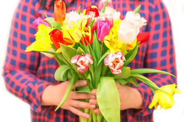 Romantic concept. Close up of colorful tulip flowers in female hands. Colorful and fresh flower bouquet. Mothersday concept.