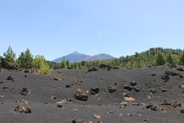 Volc&aacute;n Negro