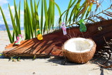 coconut on the beach background