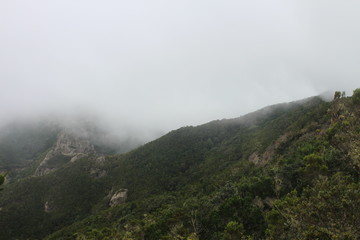 Anaga Rural Park / tenerife