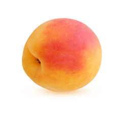 Apricot isolated on a white background.