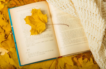 Naklejka na ściany i meble Lone of autumn leaf and scarf lying on open book