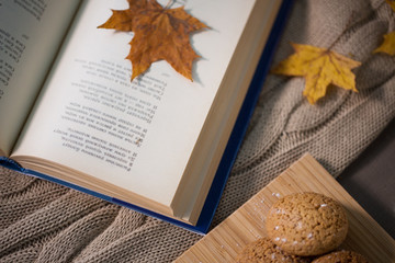 book with autumn leaf and cookies on home blanket