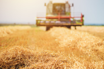 Obraz premium Combine harvester machine harvesting ripe wheat crops