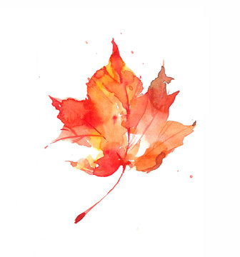 Beautiful bright autumn leaf. Watercolor autumn leaf. Watercolor background.