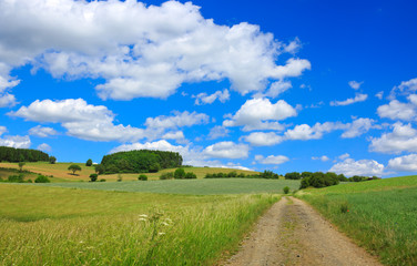 Field road with green grass and blue sky with clouds.