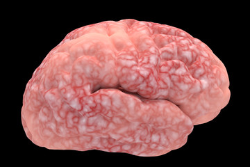 Human brain and 3D black