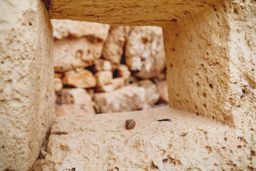 Mnajdra Temple within Hagar Qim megalithic complex. Close up view of ancient wall with hollowed-out...