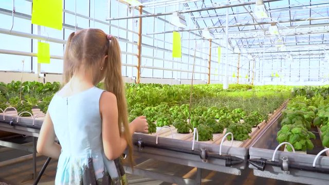 Mom and daughter are walking on the greenhouse, are greeted against the background of greenhouses