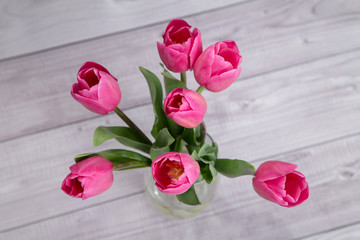 Fototapeta na wymiar bouquet of pink fresh tulips in a glass vase on a gray background