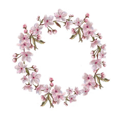 Fototapeta na wymiar Flower Wreath of Apple/Cherry/Almond Blossom. Floral Illustration Isolated on White.