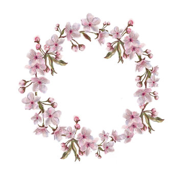 Flower Wreath of Apple/Cherry/Almond Blossom. Floral Illustration Isolated on White.