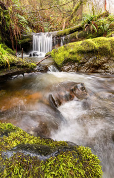 Small Waterfall in the Mountains of Northern California