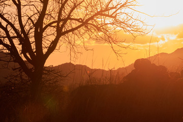 Naklejka premium Sun Washed